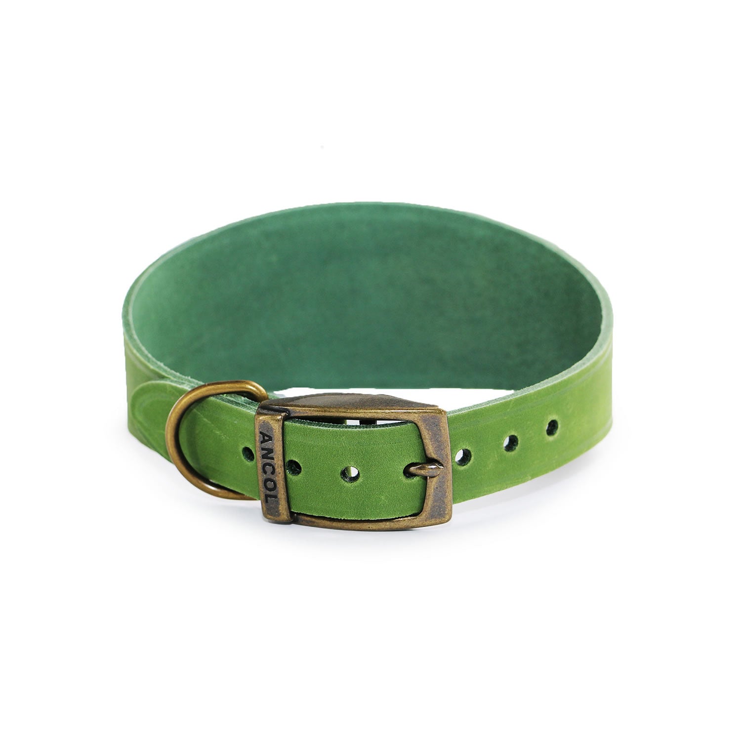 Ancol Timberwolf Hound Collar