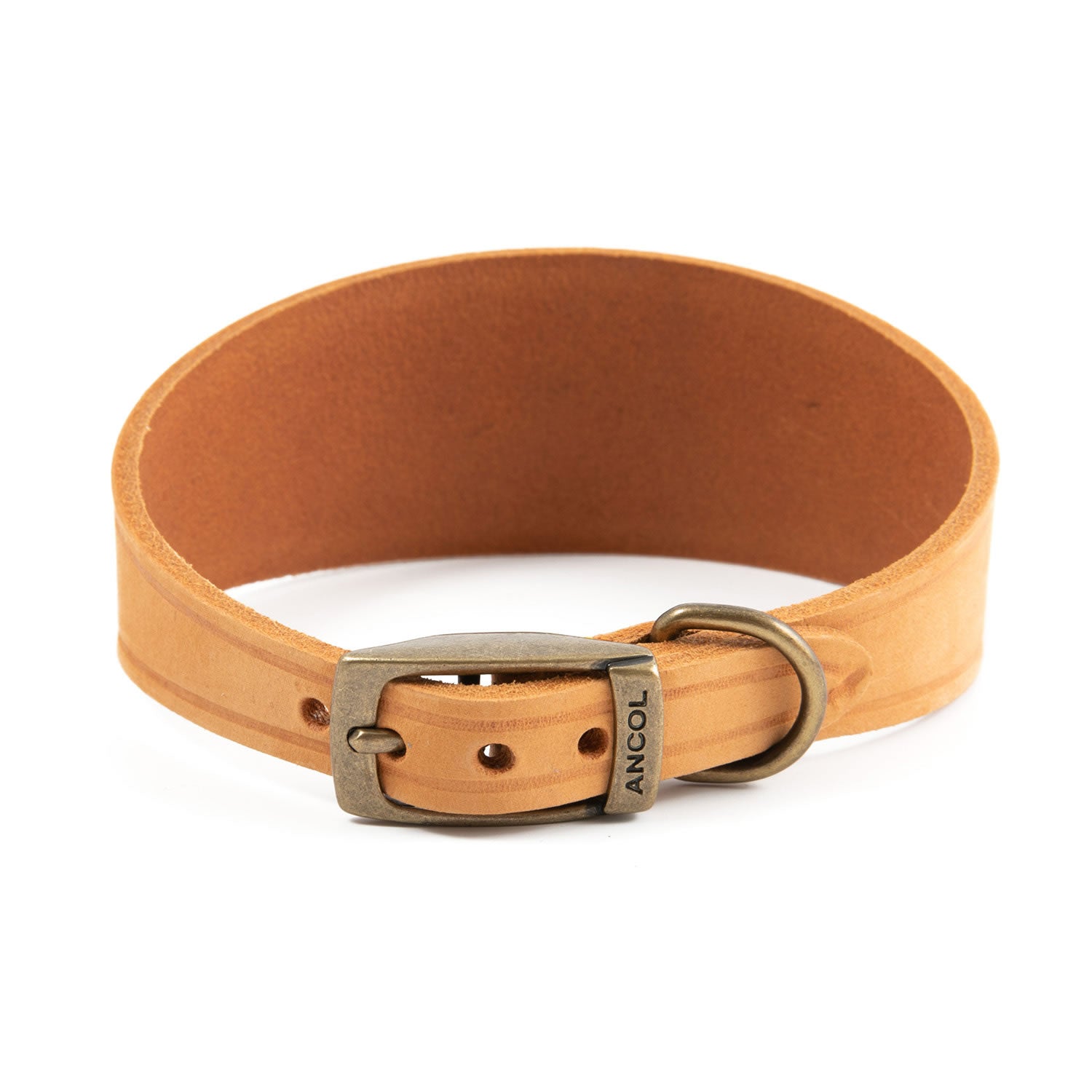Ancol Timberwolf Hound Collar