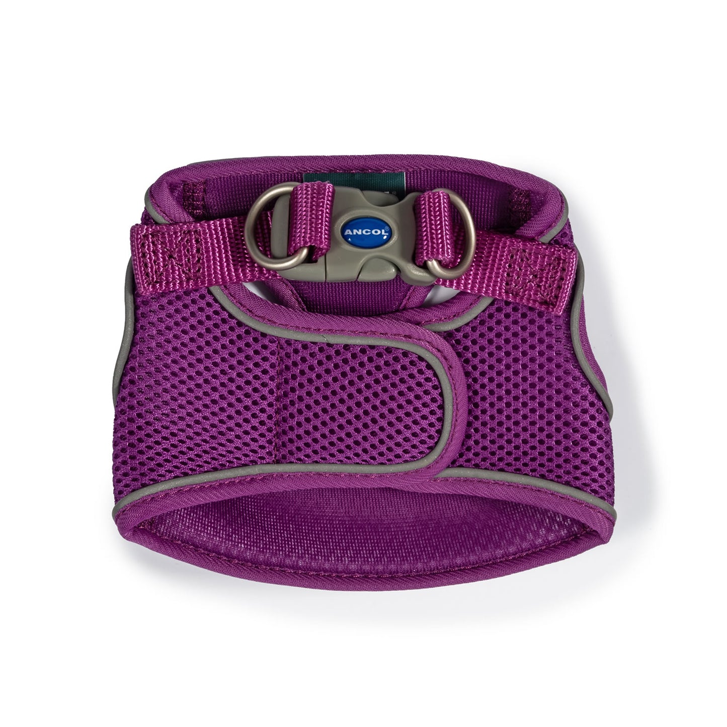 Ancol Viva Step-In Harness Purple