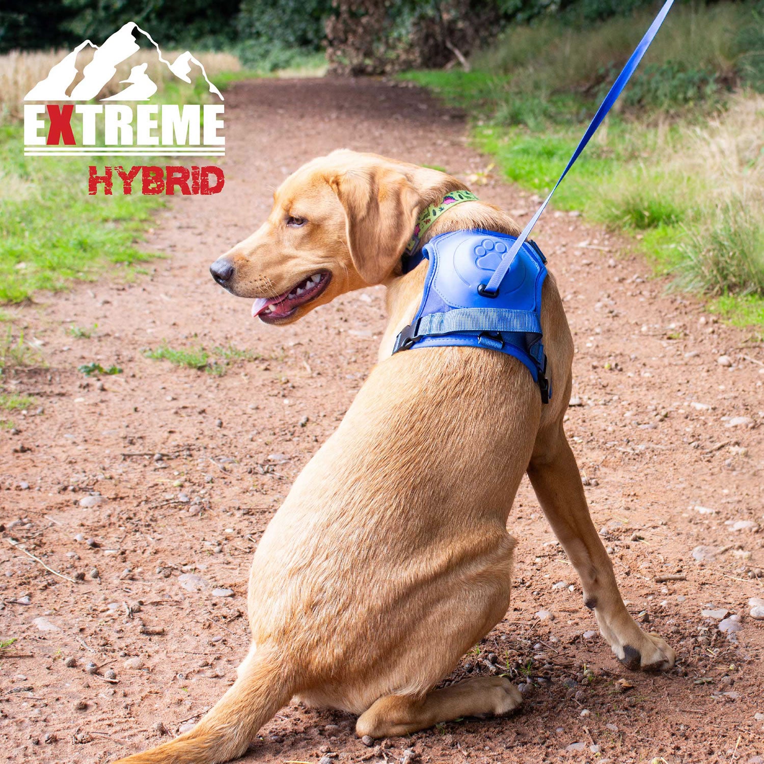 Ancol Extreme Hybrid Harness Aqua Blue