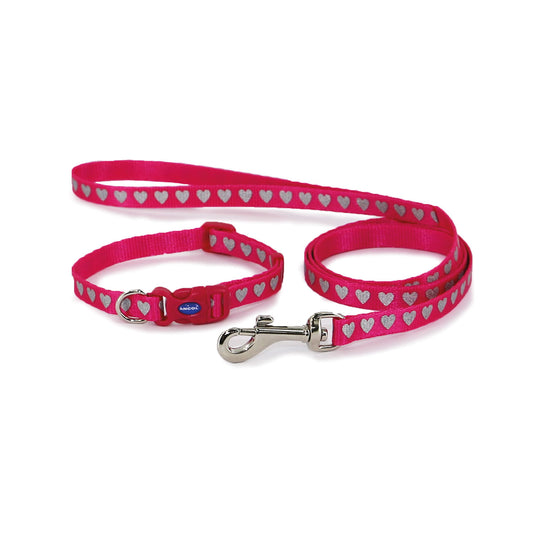 Ancol Small Bite Reflective Collar & Lead