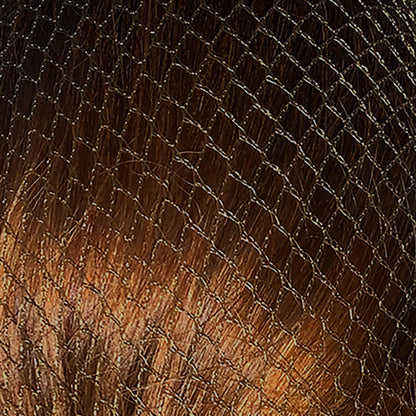 Bitz Hairnets Standard