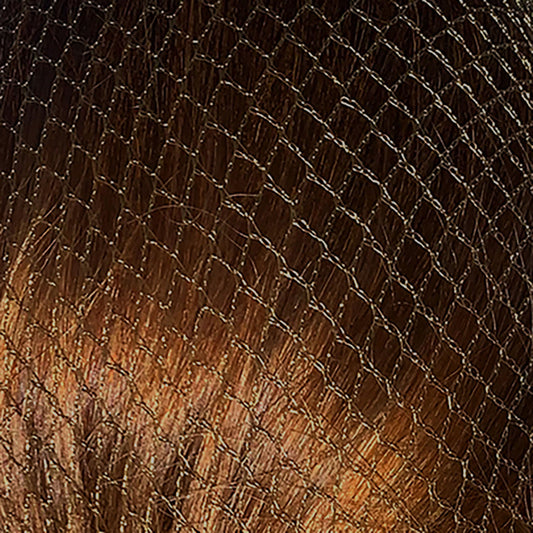 Bitz Hairnets Standard