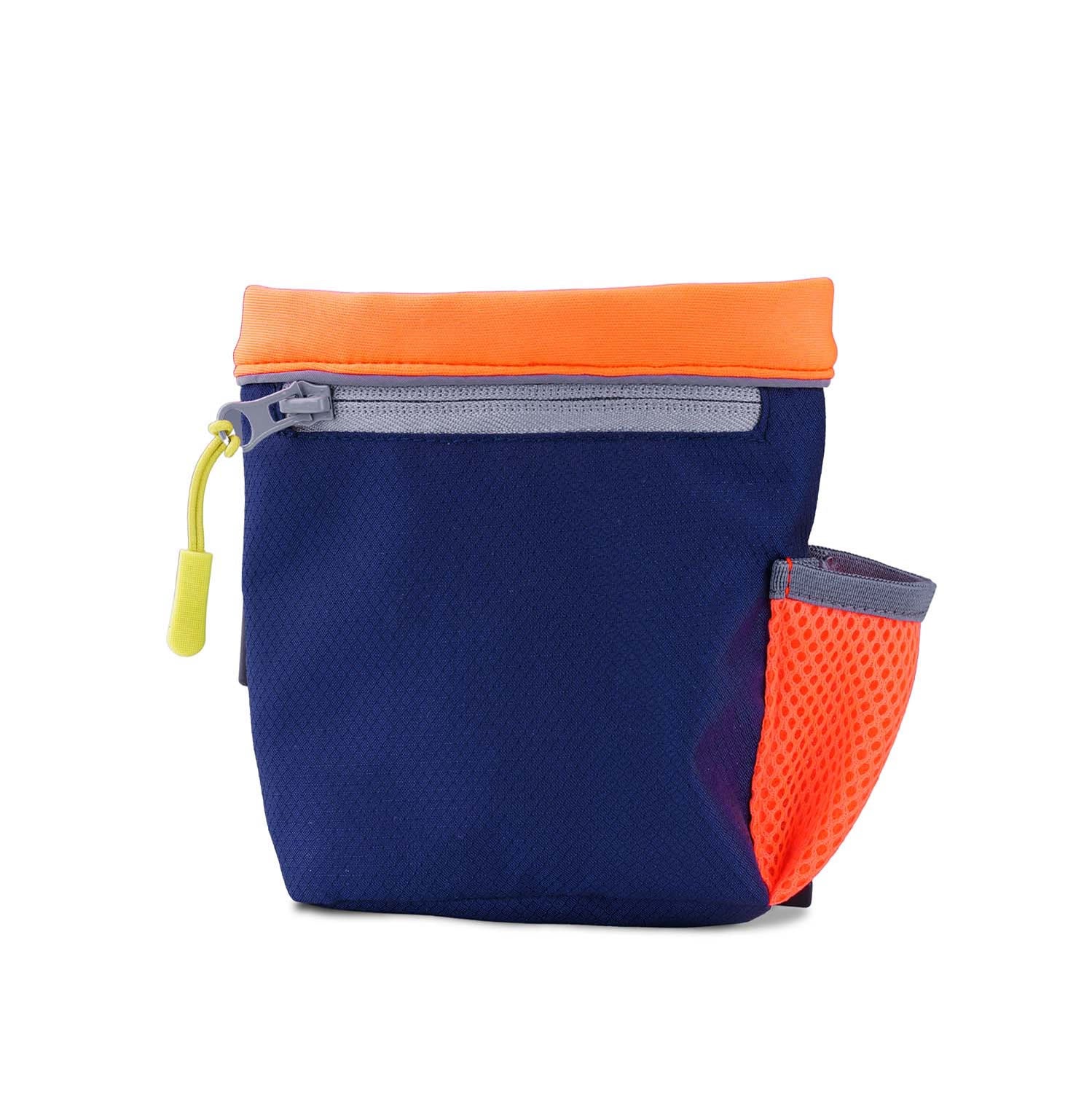 coachi-train-treat-bag