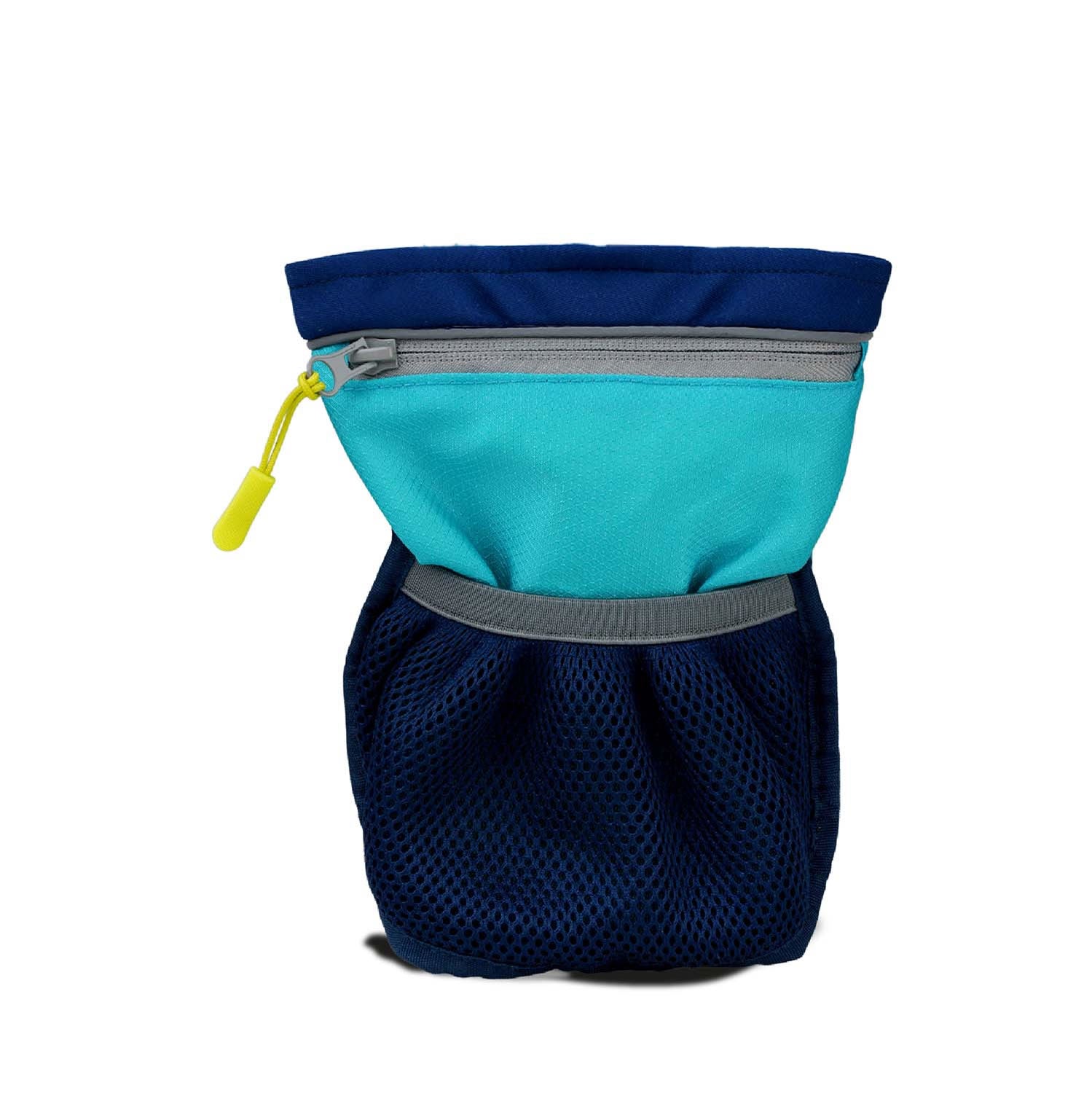 coachi-pro-train-treat-bag