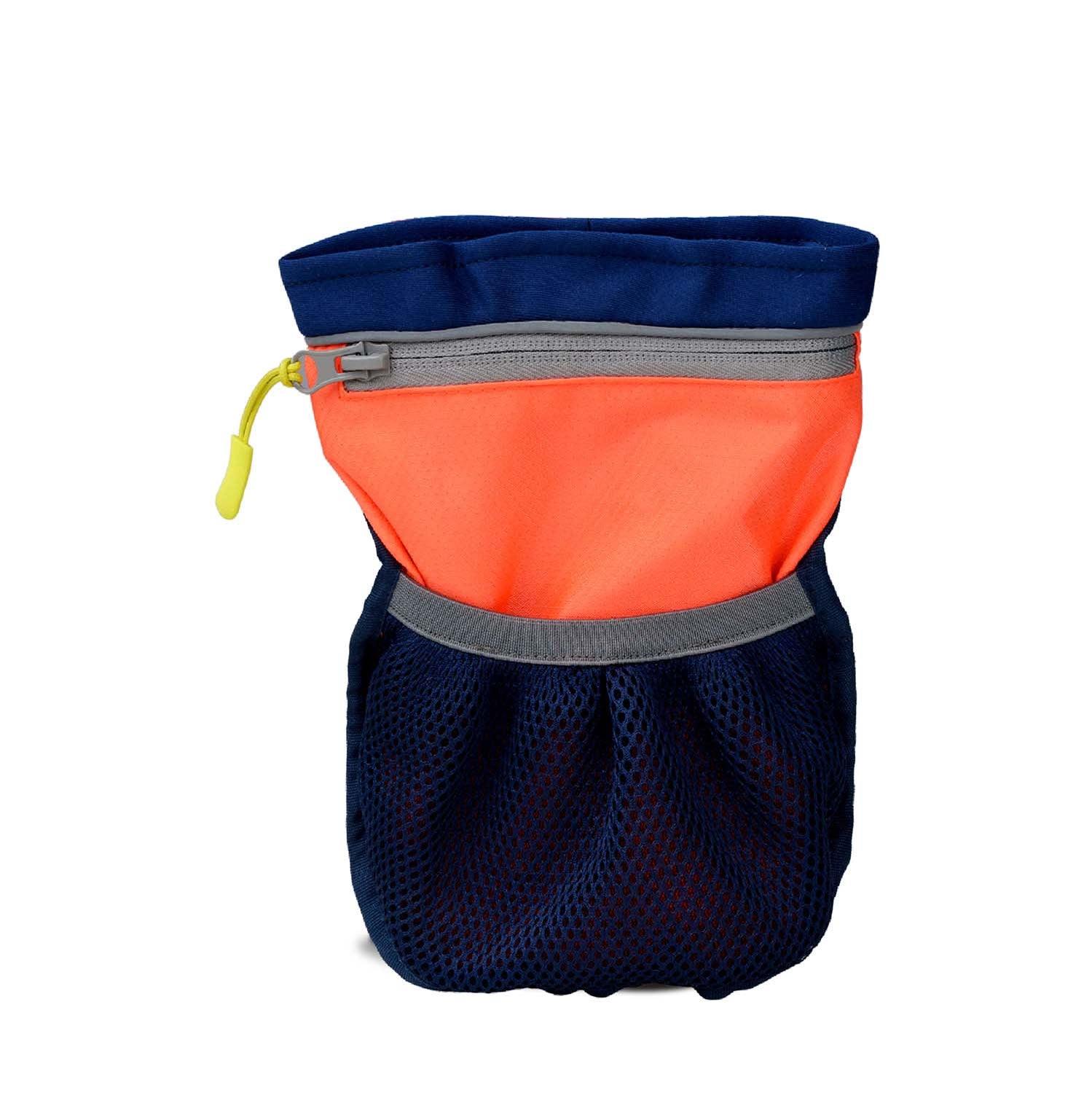 coachi-pro-train-treat-bag