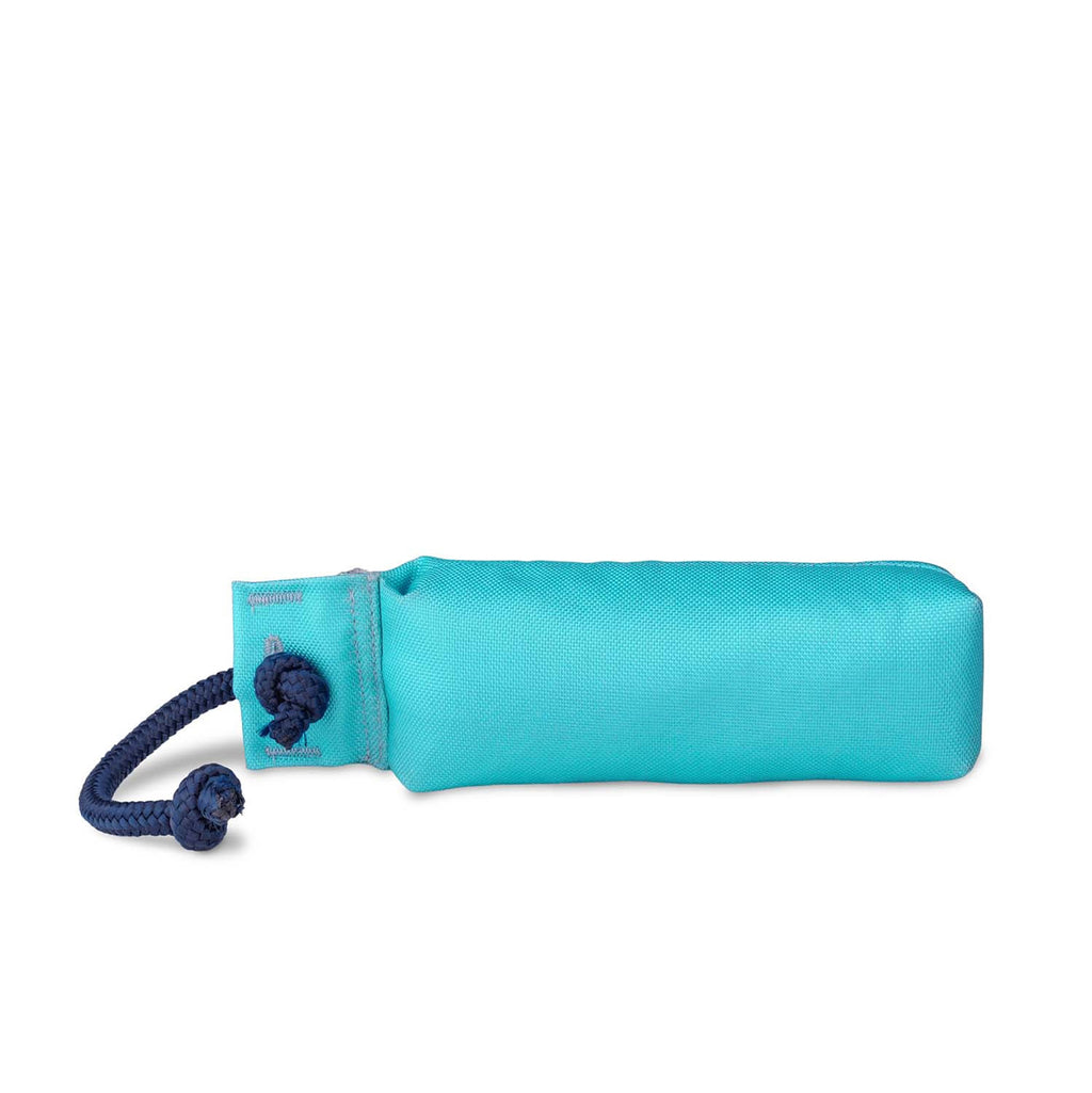 coachi-training-dummy