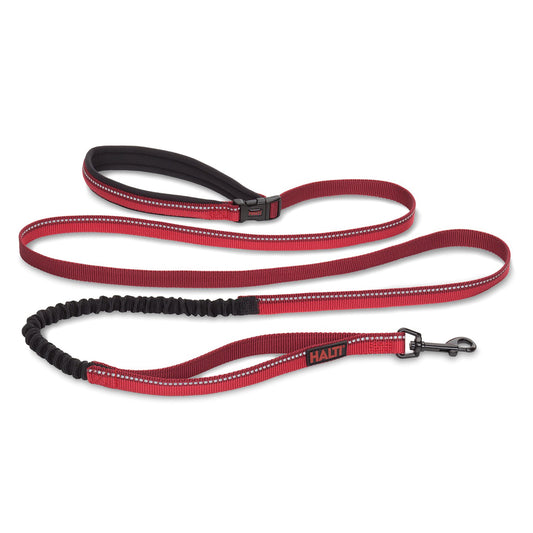 Halti Active Lead