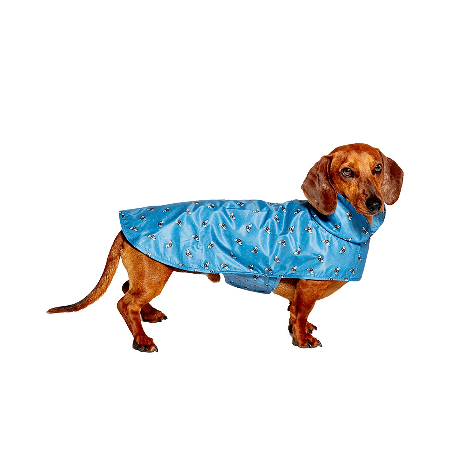 Danish Design Fatfact Spotty Bees Raincoat