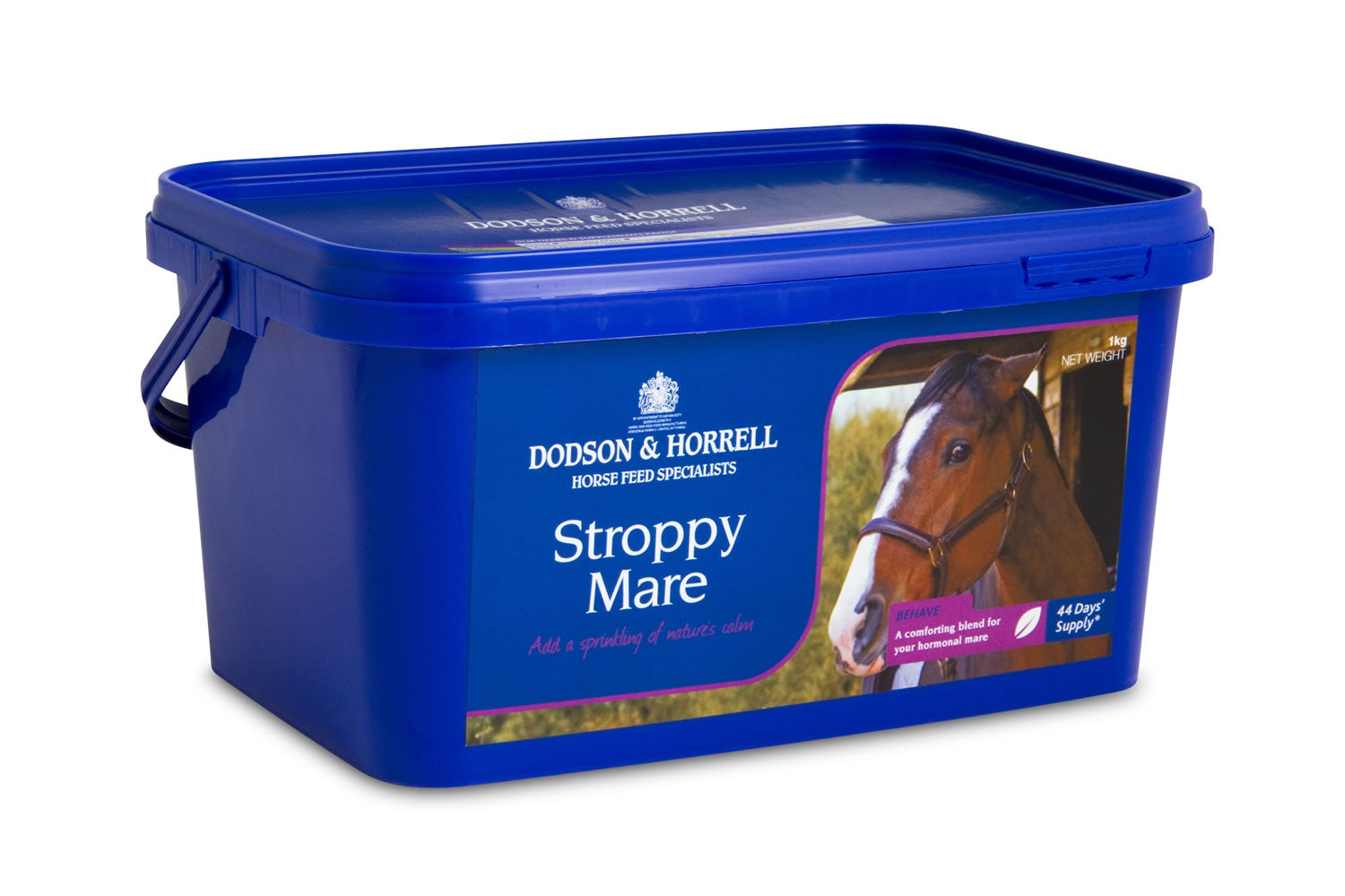 dodson-horrell-stroppy-mare
