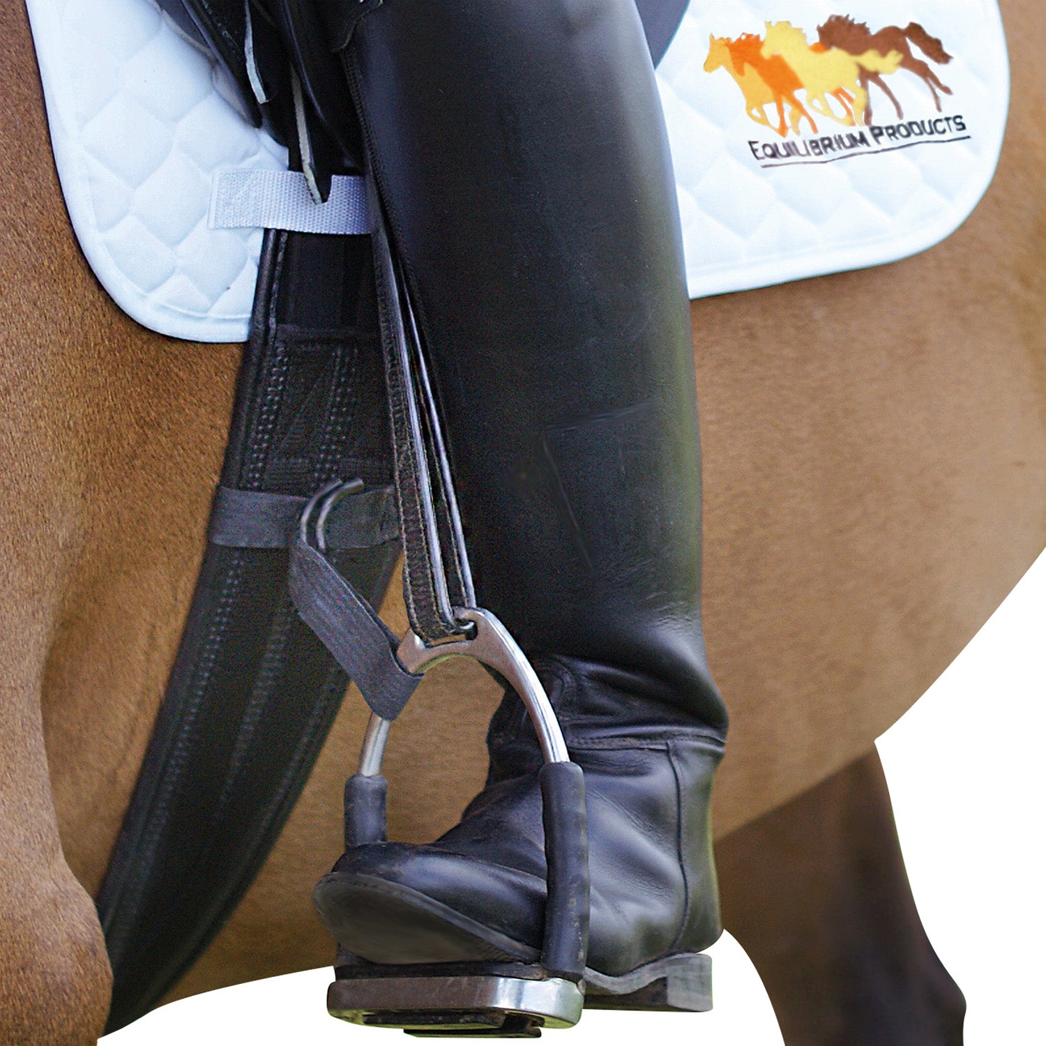 equilibrium-symmetry-lower-leg-training-strap