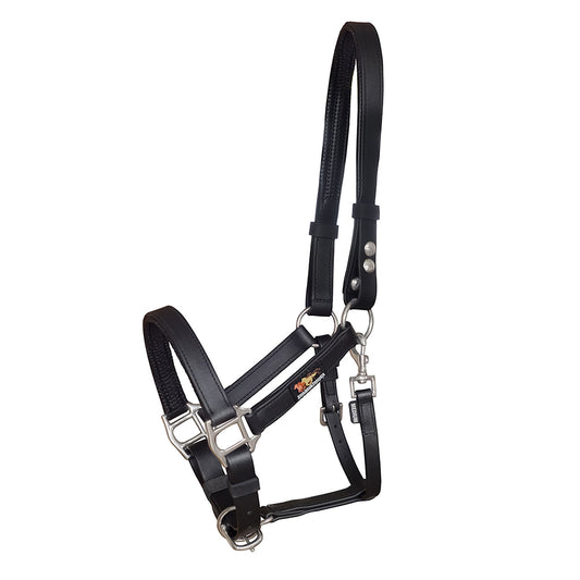 Equilibrium Stellar Headcollar