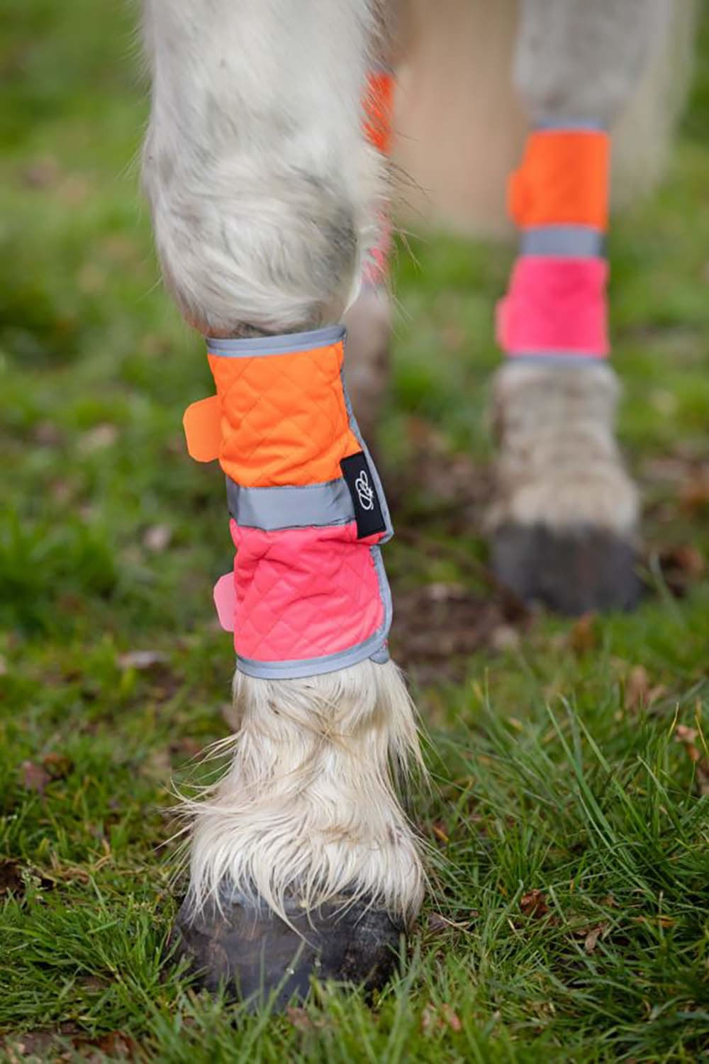 Equisafety Leg Boots