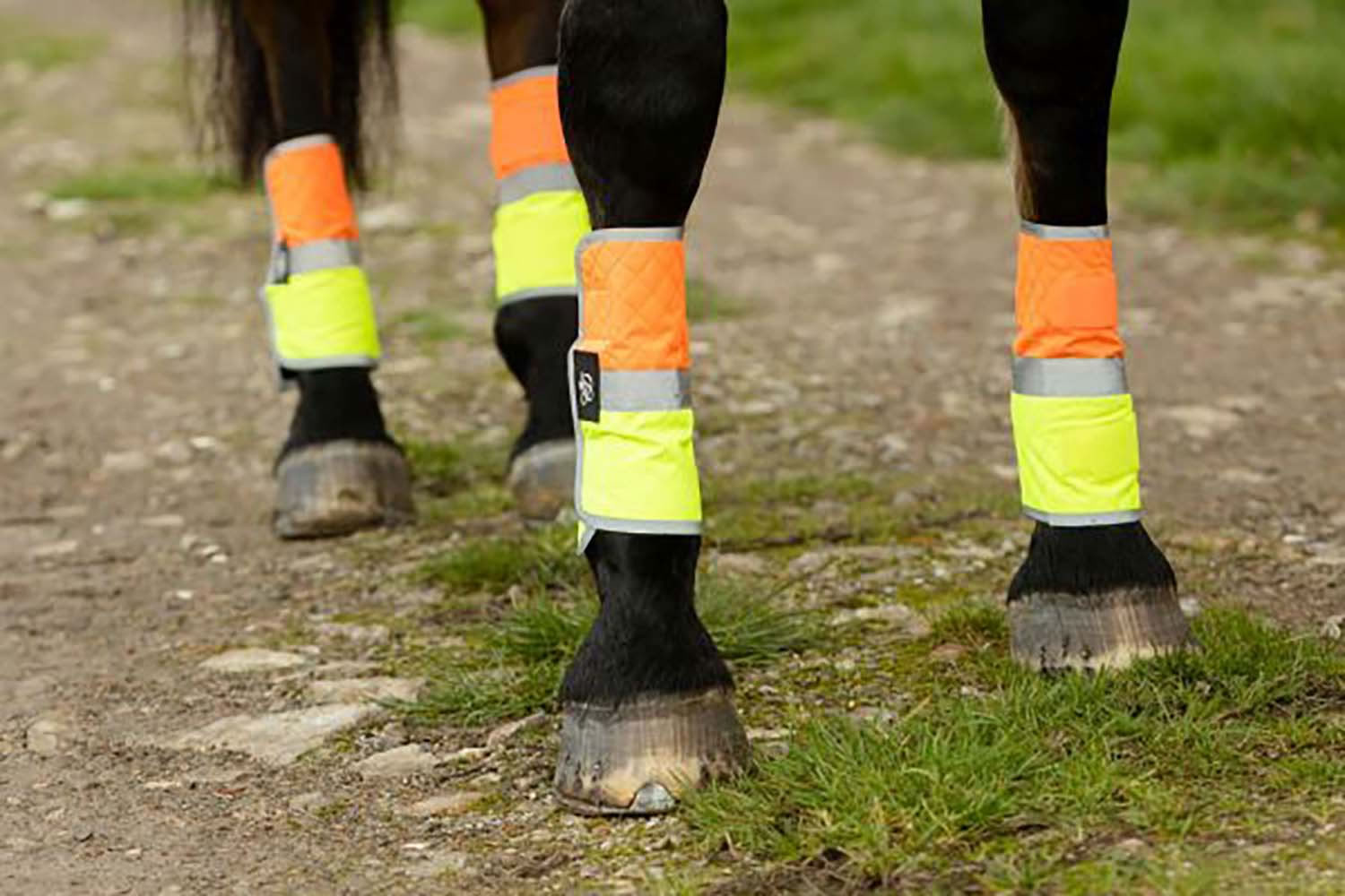 Equisafety Leg Boots
