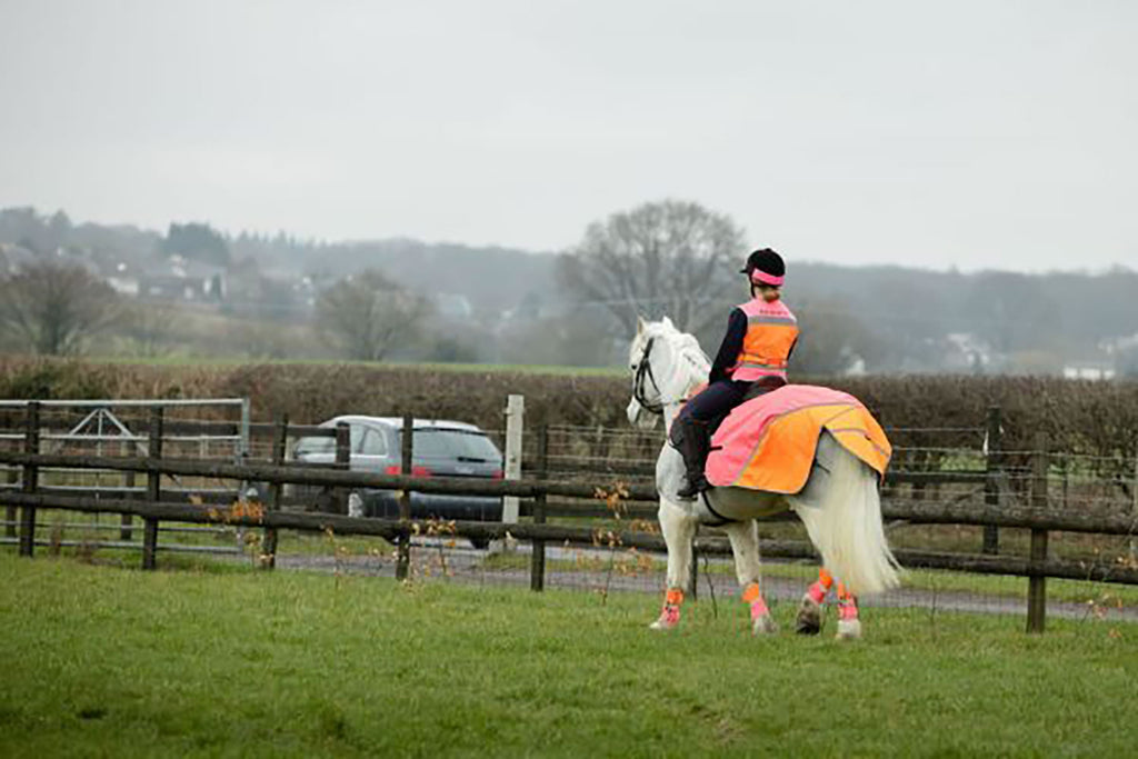 Equisafety Hi-Vis Waterproof Quarter Sheet