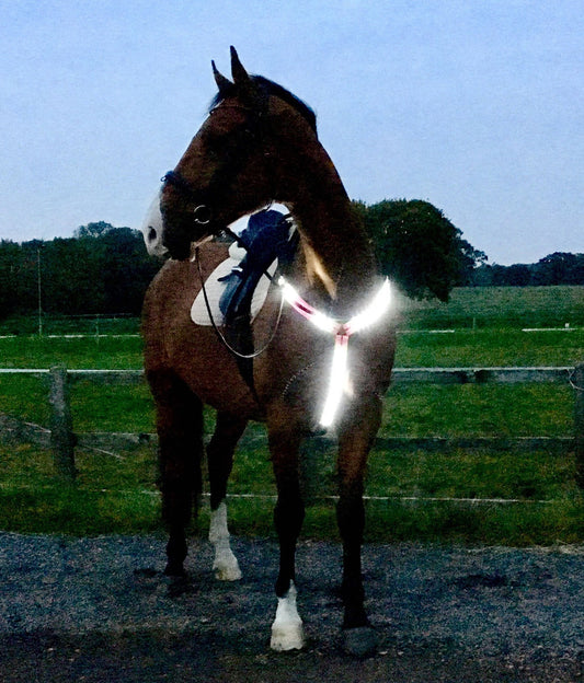 Equisafety Led Rechargeable Breastplate