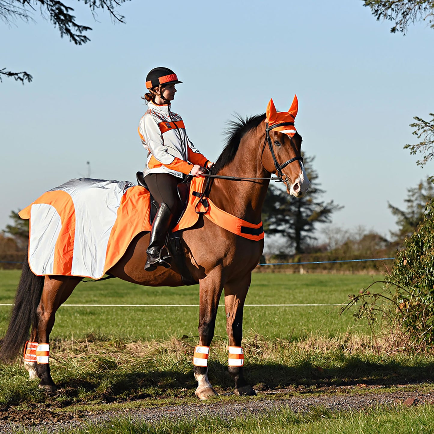 Equisafety Mercury Exercise Rug