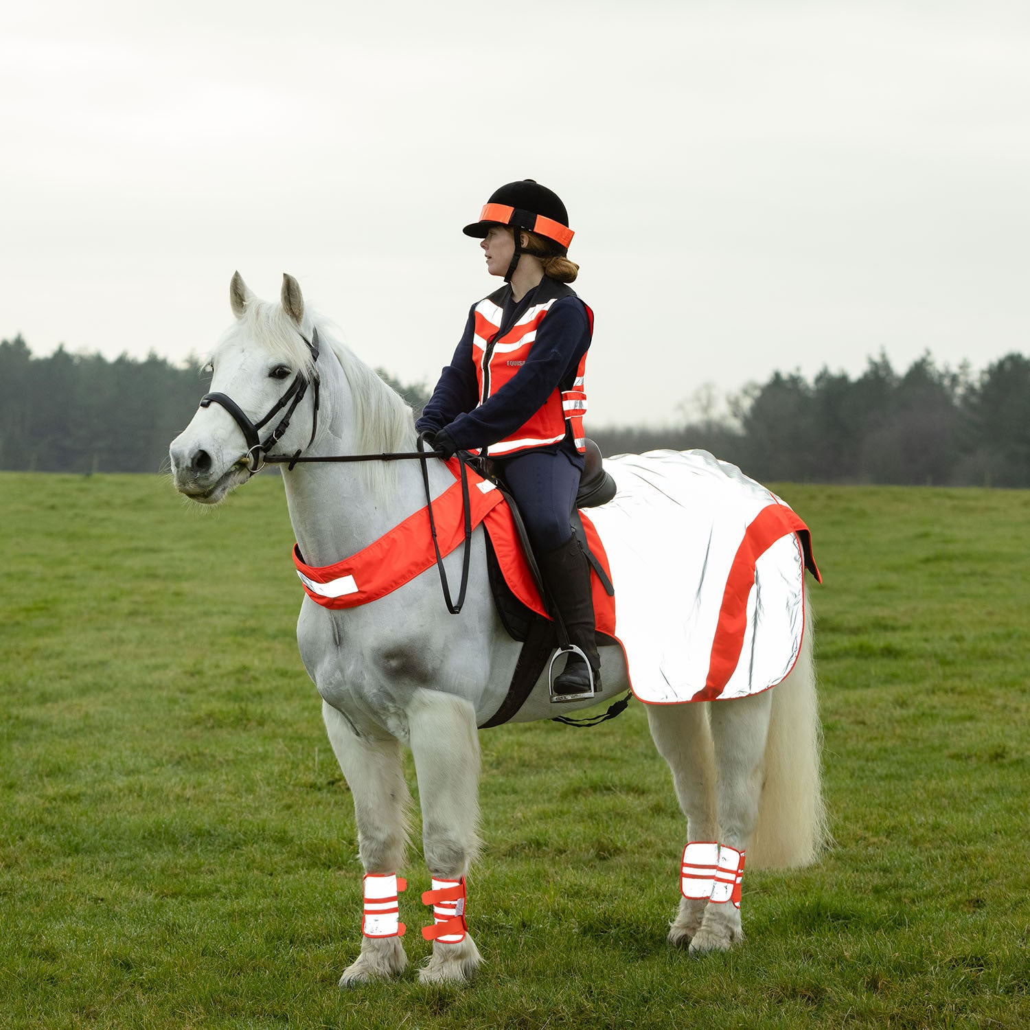 Equisafety Mercury Exercise Rug