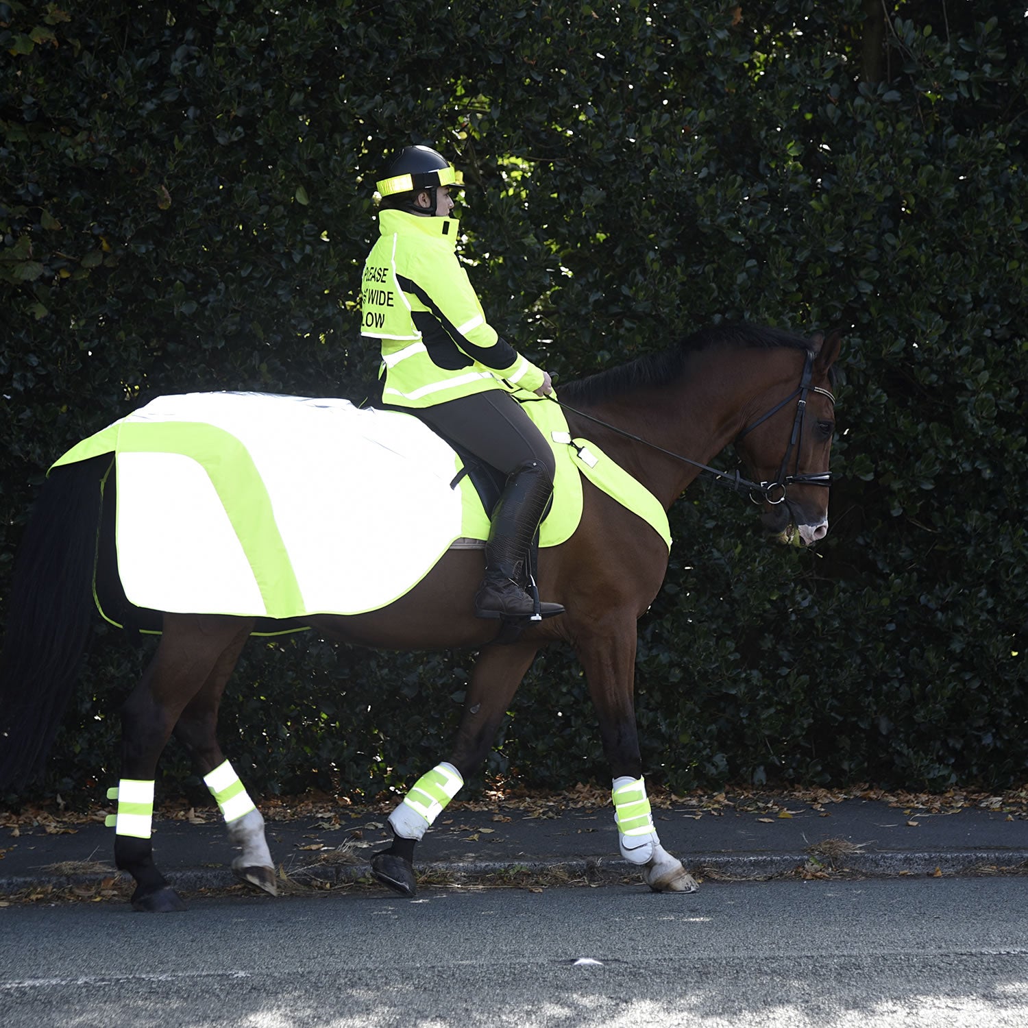 Equisafety Mercury Exercise Rug