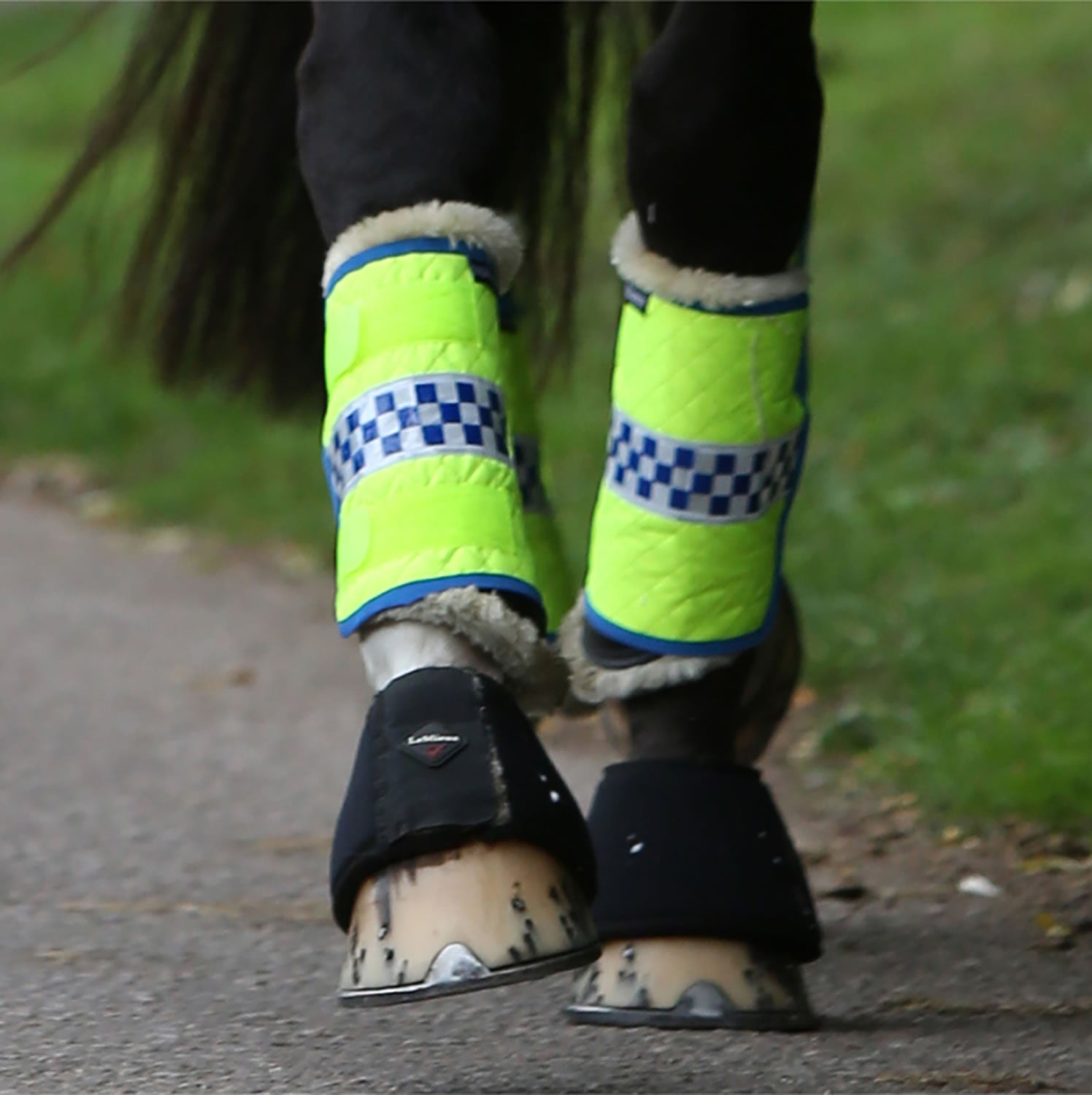 Equisafety Polite  Leg Boots