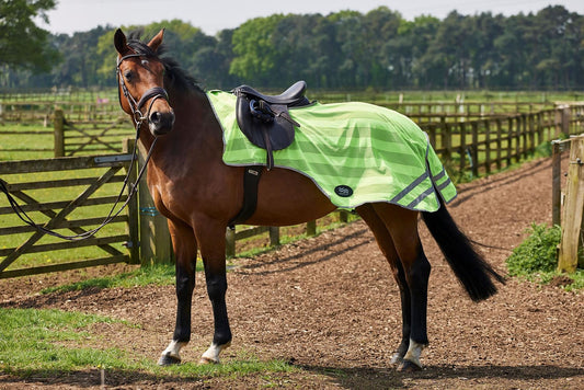 Fiefoot Reflective Exercise Sheet