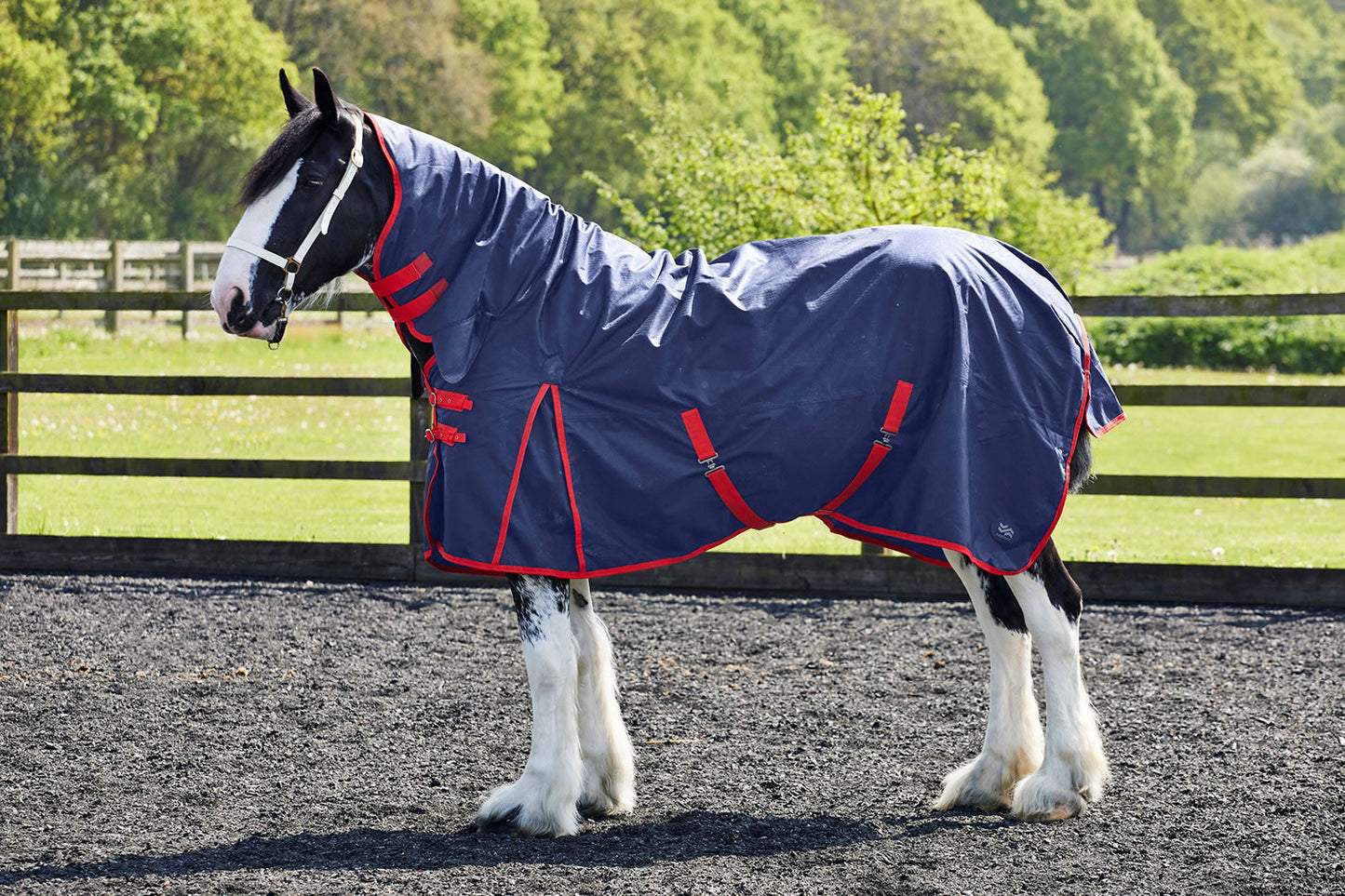Fiefoot Turnout Rug Fixed Neck 100Gm