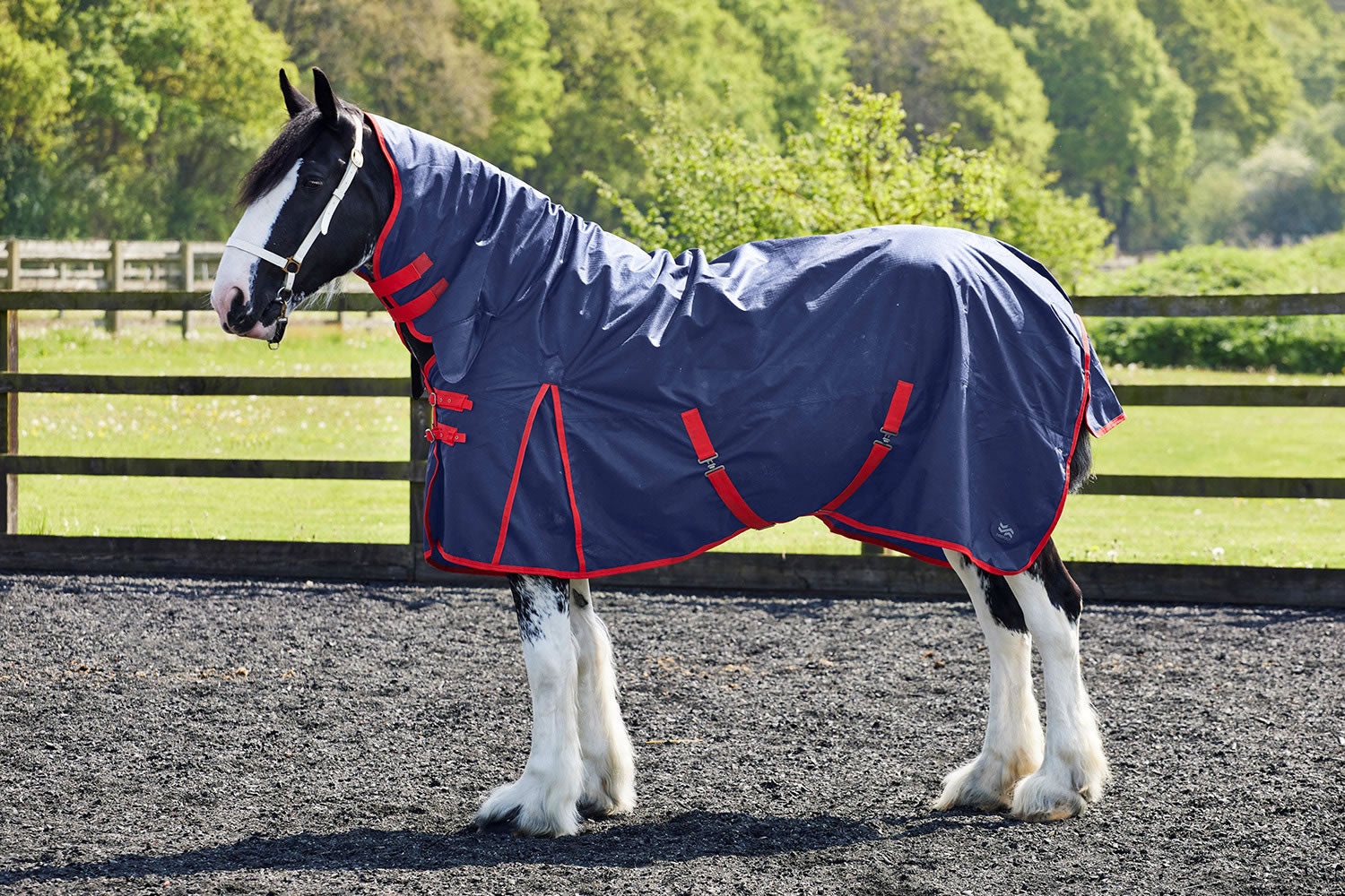 Fiefoot Turnout Rug Fixed Neck 100Gm