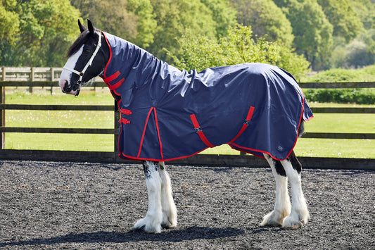 Fiefoot Turnout Rug Fixed Neck 100Gm Navy/Red
