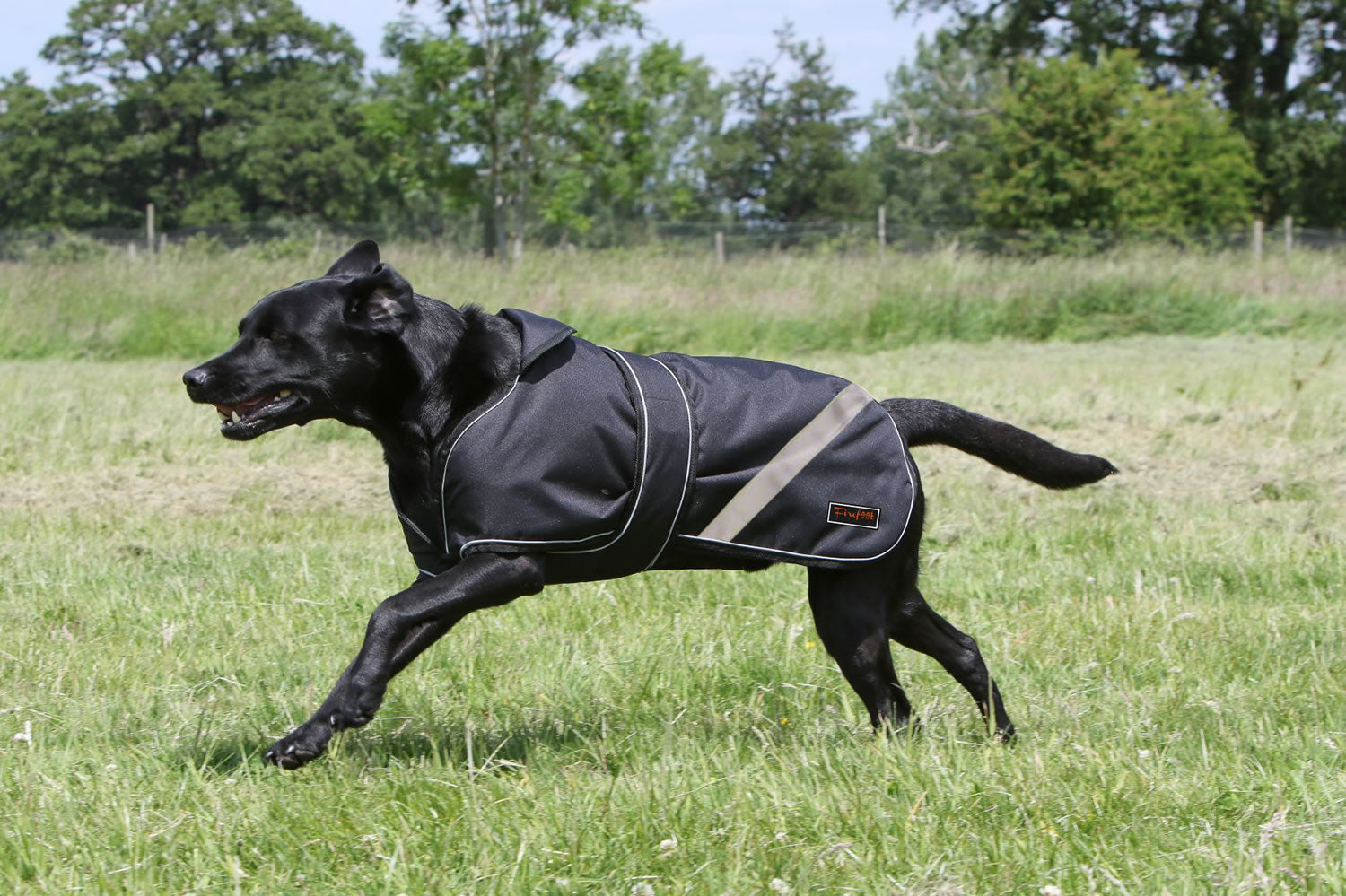 Fiefoot Waterproof 2-In-1 Dog Coat