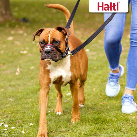 Halti Optifit