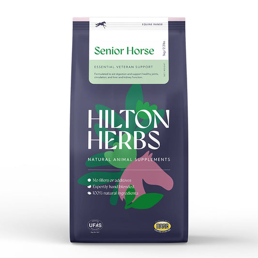 Hilton Herbs Senior Horse