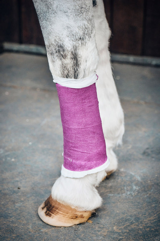 Robinsons Healthcare Equiwrap Bandage