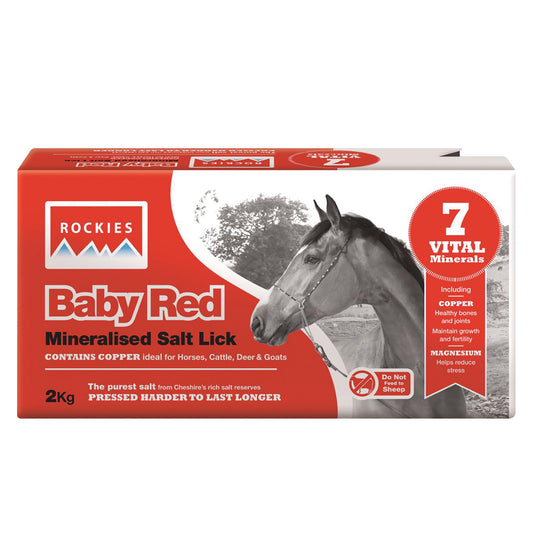 Rockies Baby Salt Lick