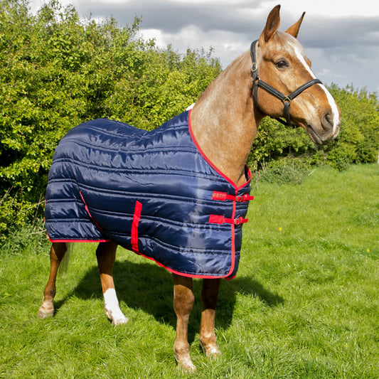 Whitaker Thomas Stable Rug 250Gm