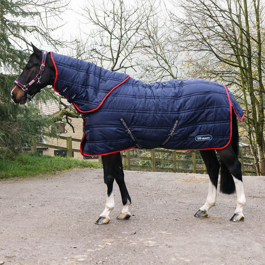 Whitaker Rastrick V2 Detachable Neck Combo 250Gm