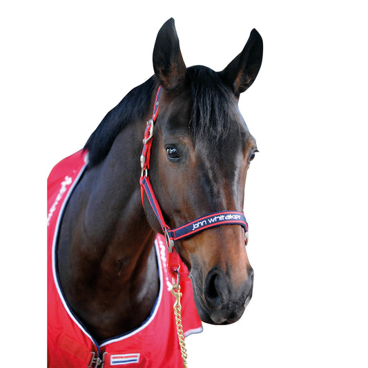 Whitaker Padded Fleece Headcollar