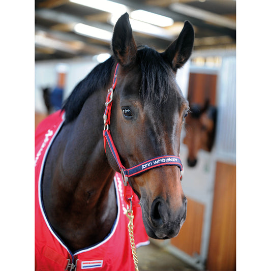 Whitaker Padded Fleece Headcollar