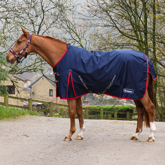 Whitaker Draw Reins Elastic