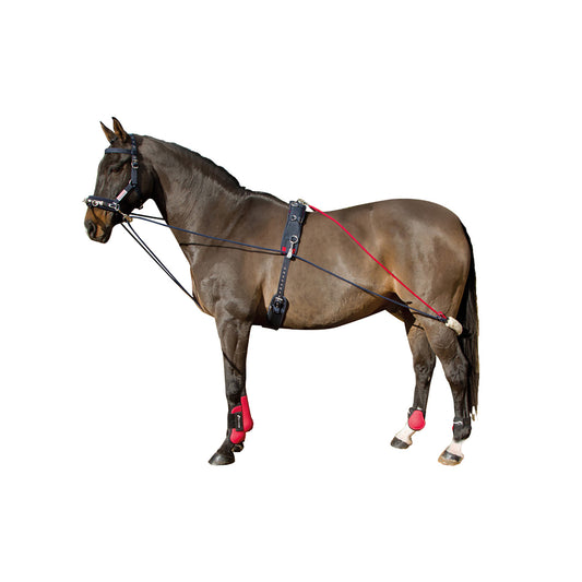 Whitaker Training System