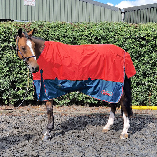 Whitaker Rudston Turnout Rug 50Gm