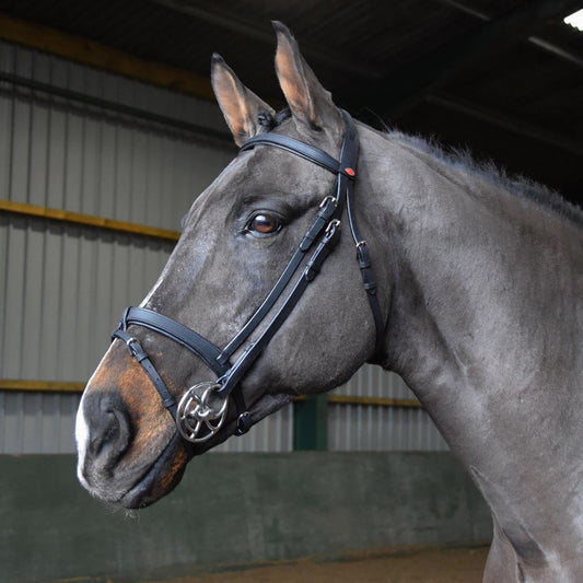 Whitaker Ready To Ride Snaffle Bridle
