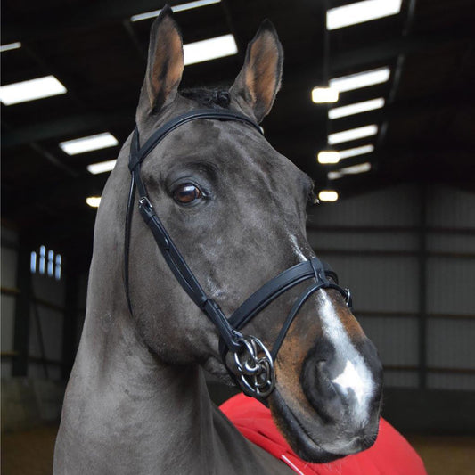 Whitaker Ready To Ride Snaffle Bridle