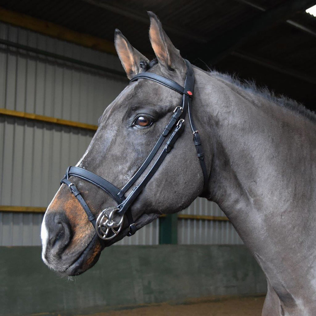 Whitaker Ready To Ride Snaffle Bridle