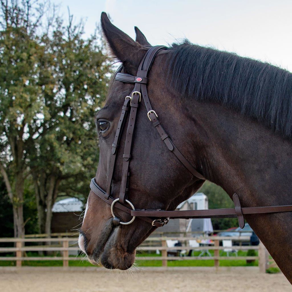 Whitaker Ready To Ride Snaffle Bridle