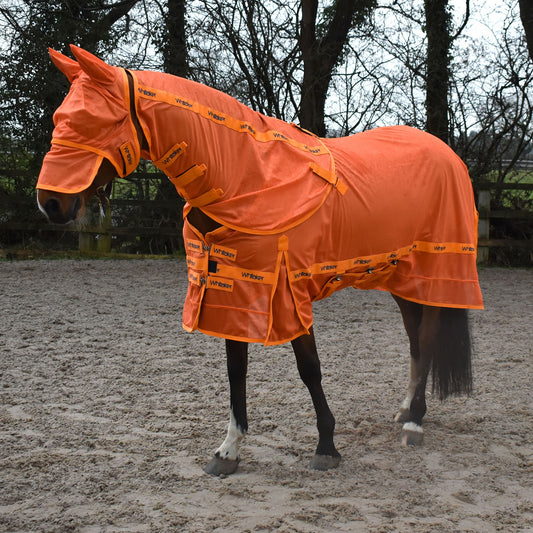 Whitaker Swot Fly Rug & Mask