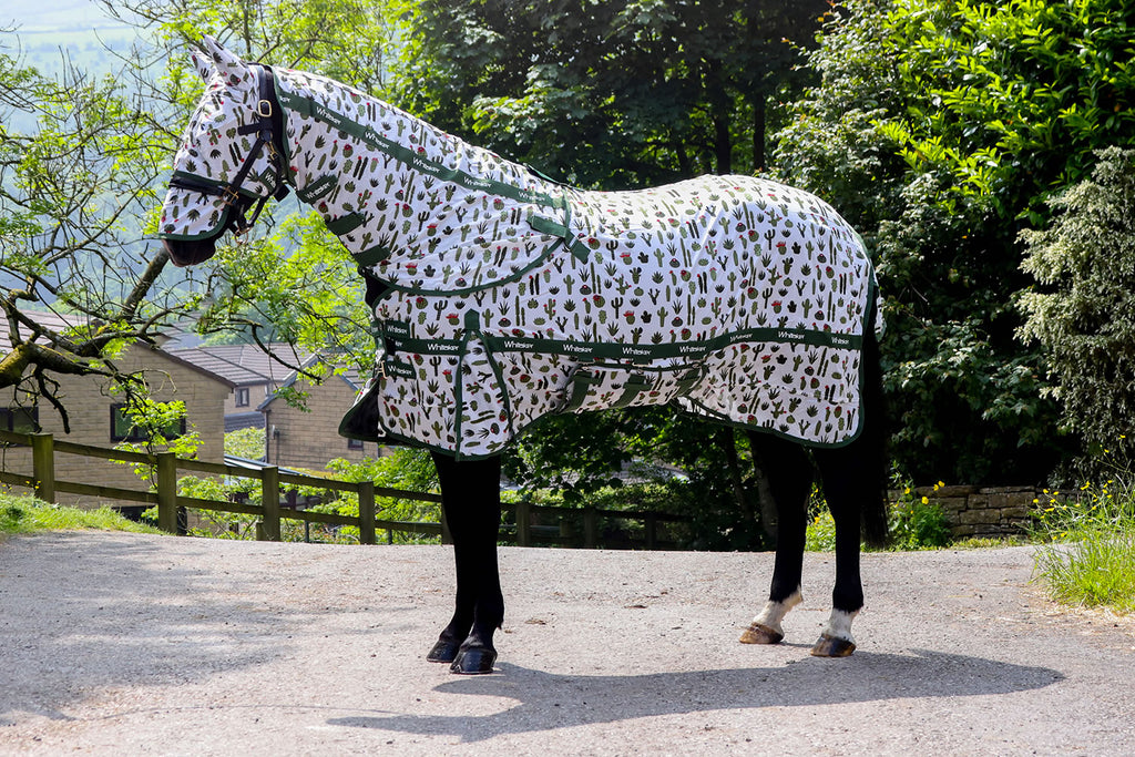 Whitaker Swot Fly Rug & Mask