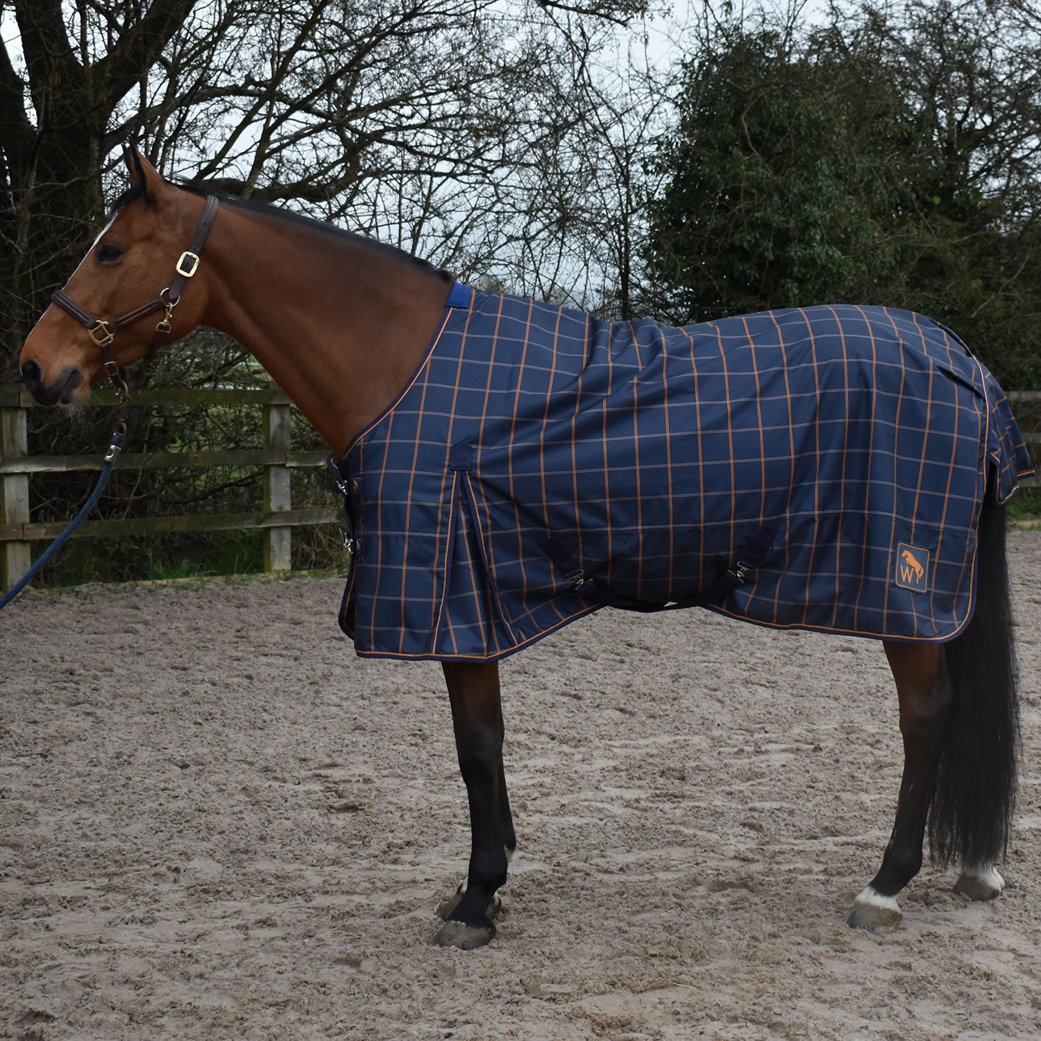 Whitaker Jacob Lightweight Turnout Rug 0Gm