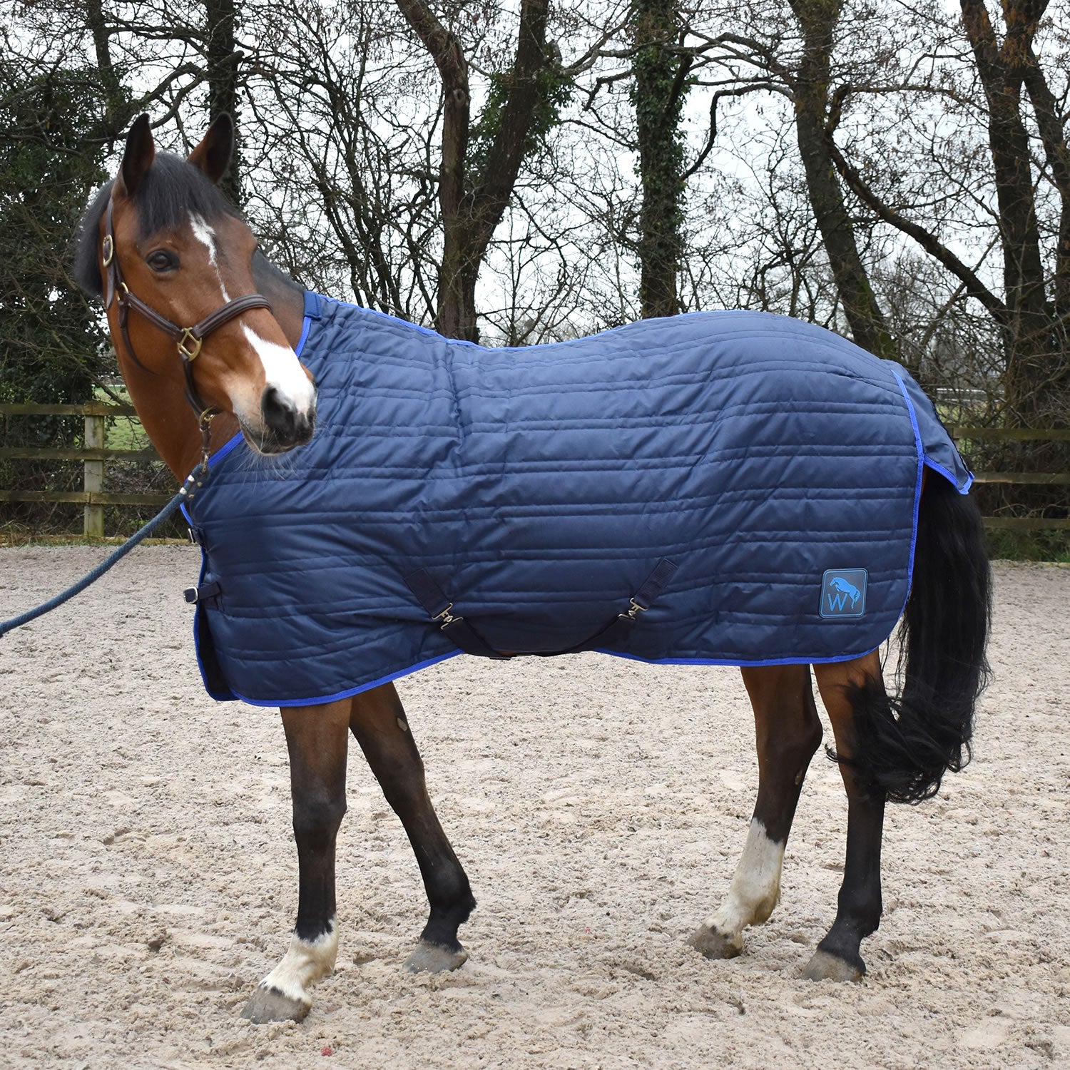 Whitaker Pippa Stable Rug 100Gm