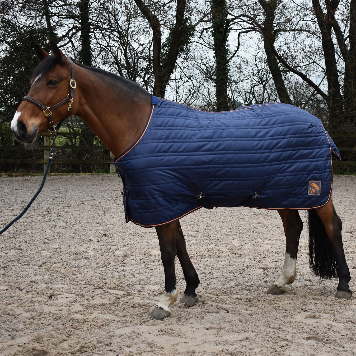 Whitaker Pippa Stable Rug 100Gm
